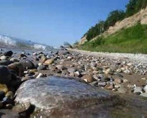 Petoskey Stone Riverbed